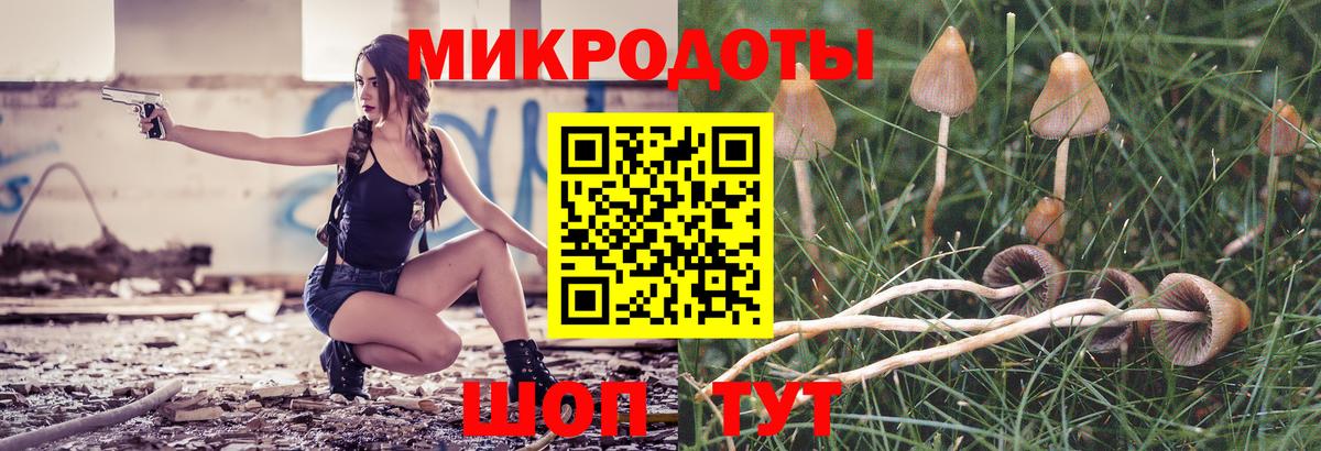 Псилоцибиновые грибы Cubensis Чернушка