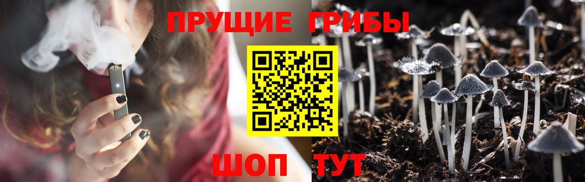 Чернушка  Псилоцибиновые грибы Psilocybine cubensis  Вход с VPN  цена   Галлюциногенные грибы Magic Shrooms 